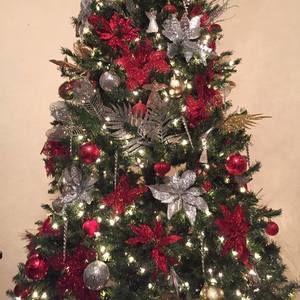 Meet your Posher, Alifonsa